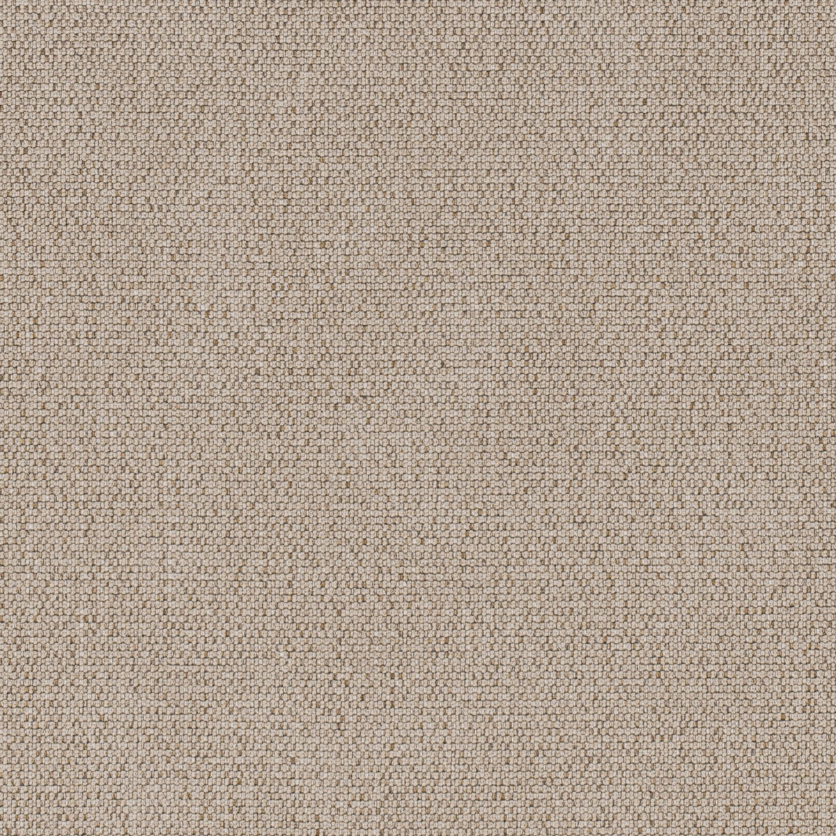 Carnegie  3MKCCARNEGIEARTICLE2